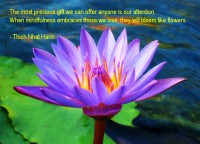 /album/think-positive-info/hanh-2-jpg/